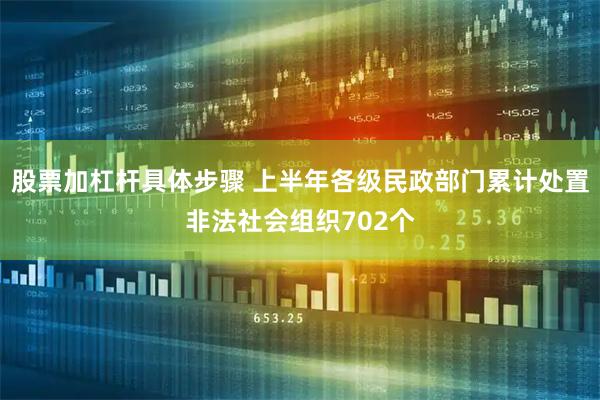 股票加杠杆具体步骤 上半年各级民政部门累计处置非法社会组织702个